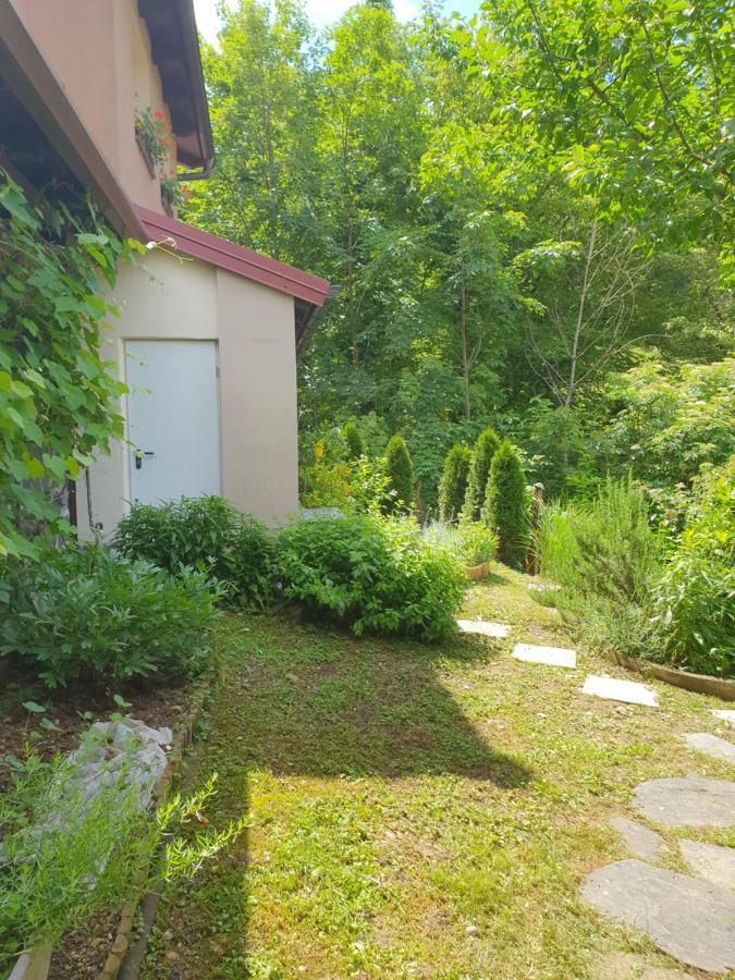 Apartment With Terrace Nona Pavla Толмин Екстер'єр фото
